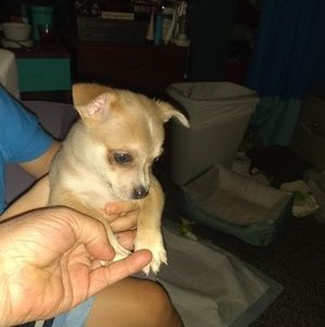 Meet your Posher, Barbara